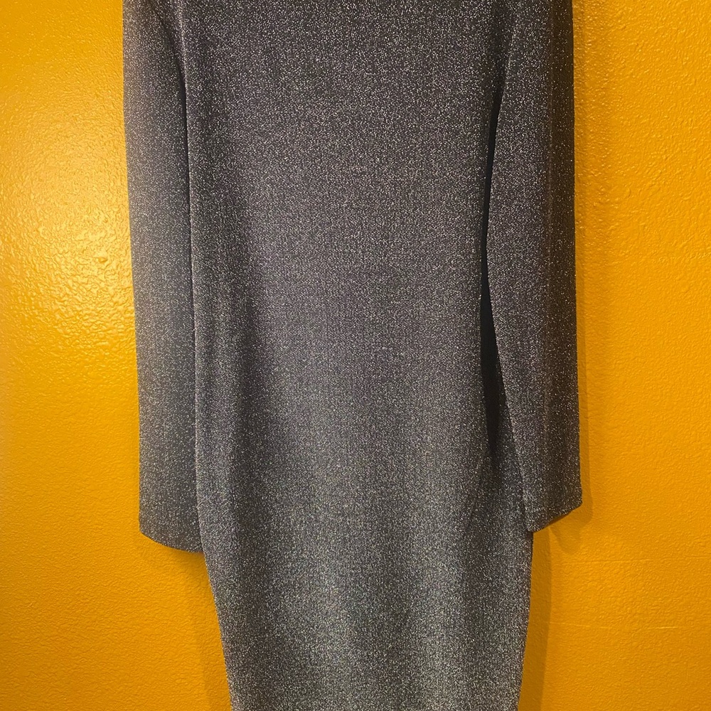 Shimmering Long Sleeve Dress in Silver